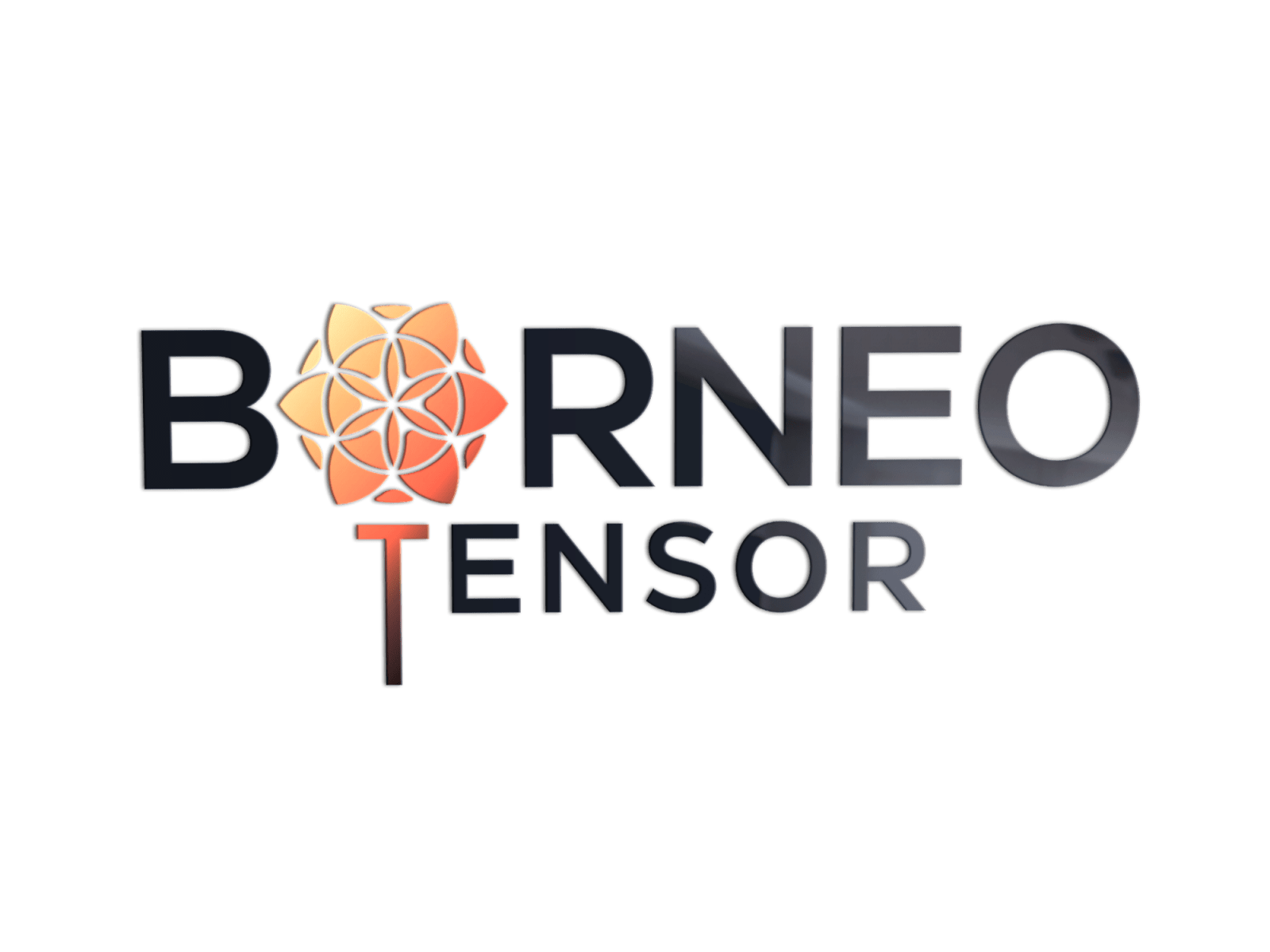 Borneo Tensor